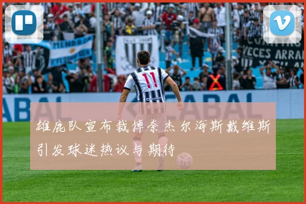 雄鹿队宣布裁掉奈杰尔海斯戴维斯引发球迷热议与期待